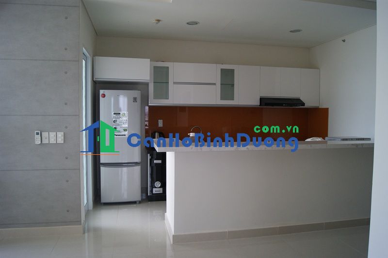 apartment in binh duong new city
