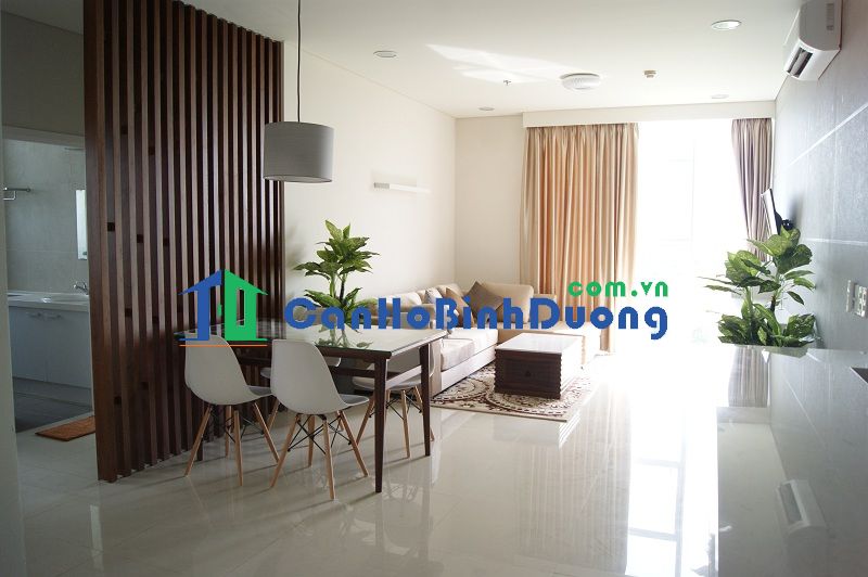apartment in binh duong new city