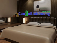 Chính chủ cho thuê căn hộ 2 PN, đầy đủ nội thất, khu Homez@ The Canary, Thuận An