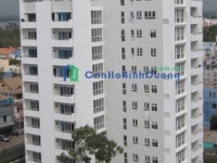 New Horizon Apartment for rent cheap in Binh Duong